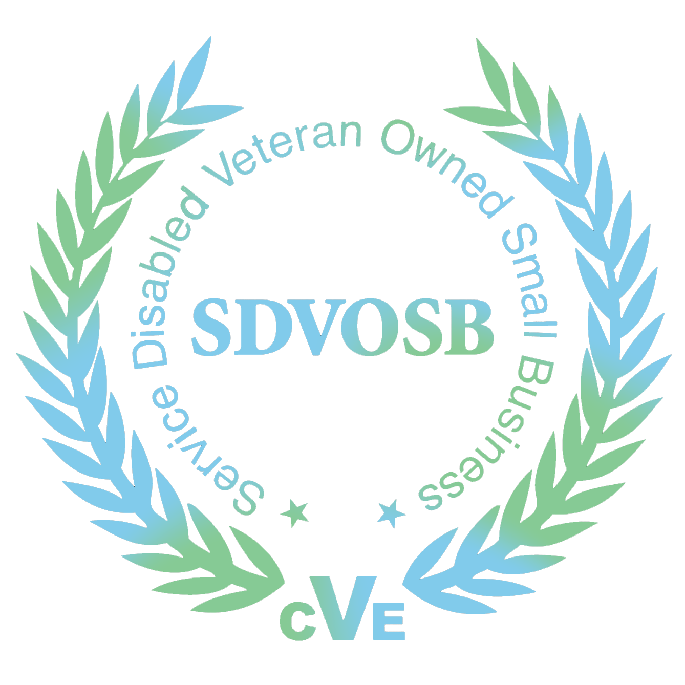 SDVOSB